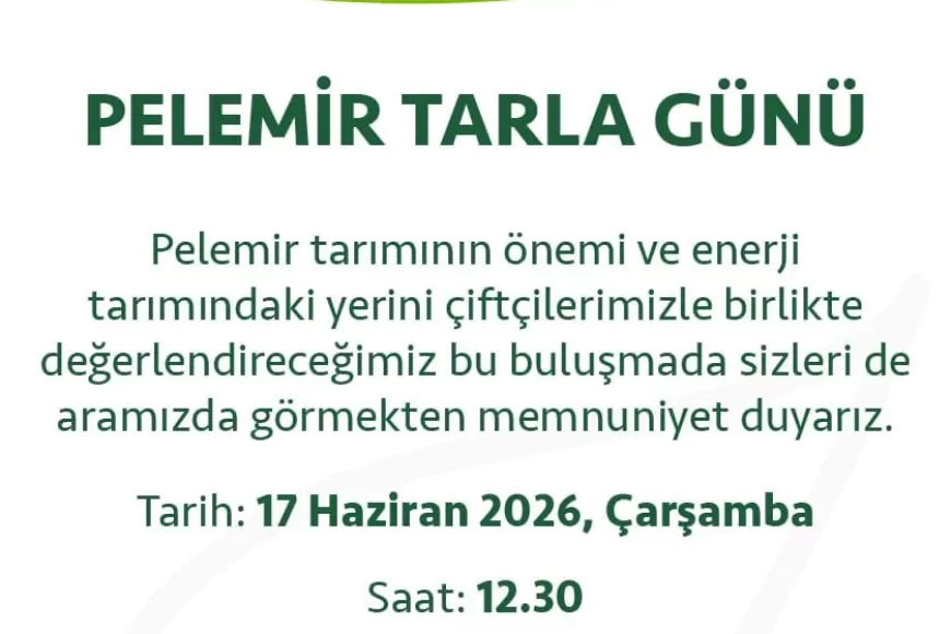 Eskişehir Alpu’da Yerli ve Milli Pelemir Bitkisinin Tanıtımı İçin Tarla Günü Düzenlenecek