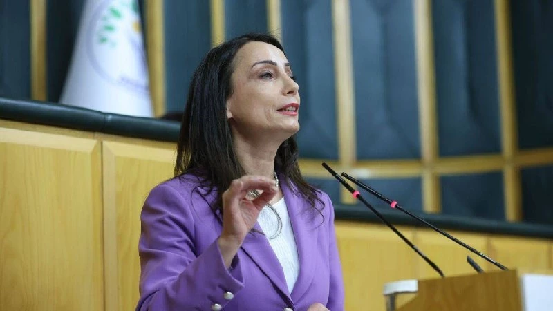 Hatimoğulları: Kürtleri inkâr etme ve yok sayma dönemi kapanmıştır