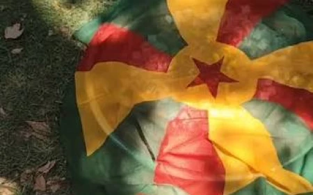 Diyarbakır’da 49 PKK mensubu için taziye hazırlığı
