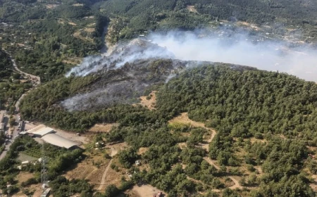 Bursa’da üç ayrı noktada orman yangını