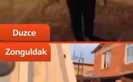 Düzce ve Zonguldak’ta mevsimlik Kürt işçilere saldırı iddiası