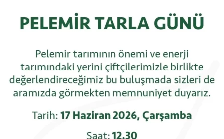 Eskişehir Alpu’da Yerli ve Milli Pelemir Bitkisinin Tanıtımı İçin Tarla Günü Düzenlenecek